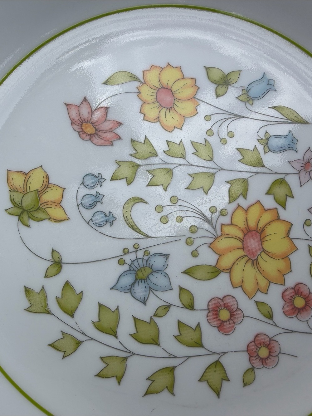 Vintage Corelle Plates lot of 6 spring meadows